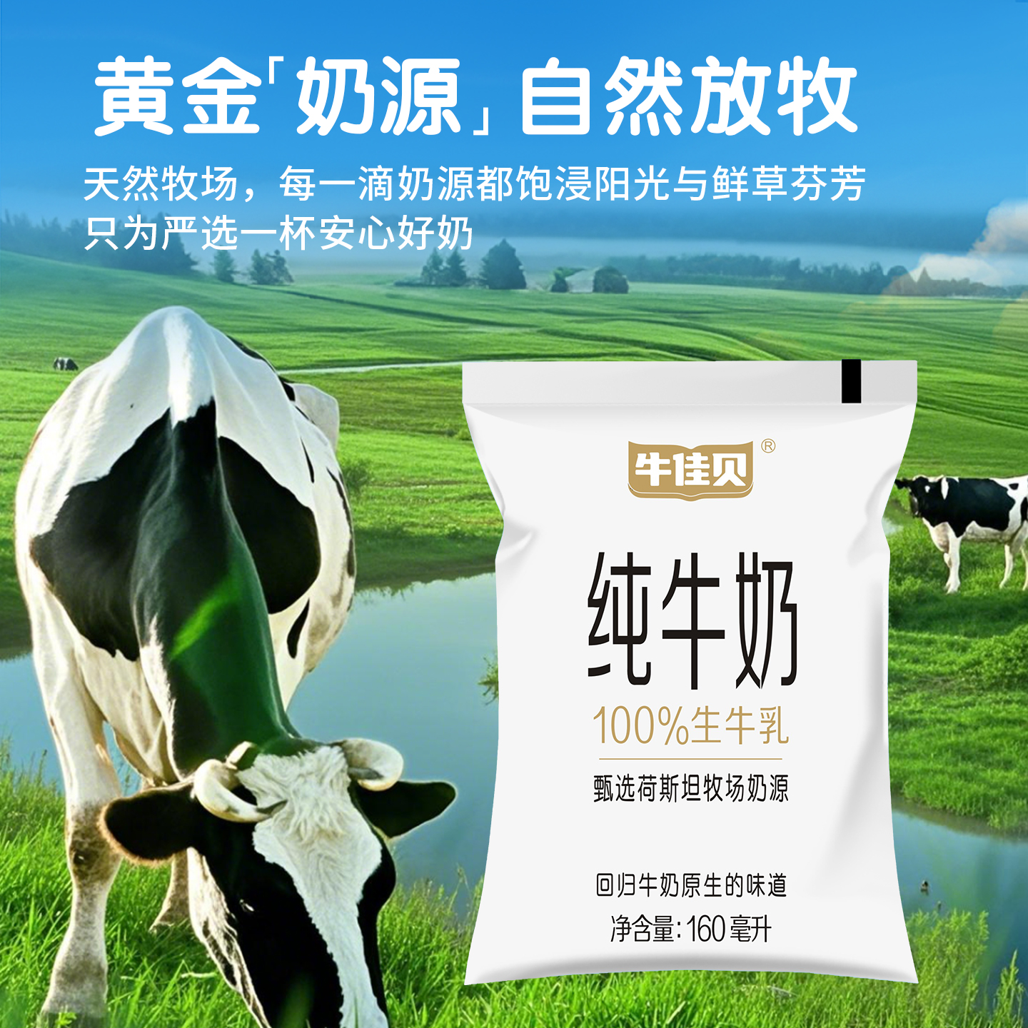 牛佳贝纯牛奶160ml*5袋学生奶