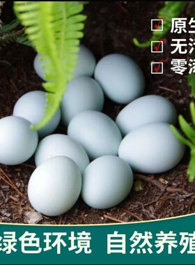 散养绿壳土鸡蛋新鲜正宗乌鸡蛋自然原生态绿壳蛋健康又营养40g