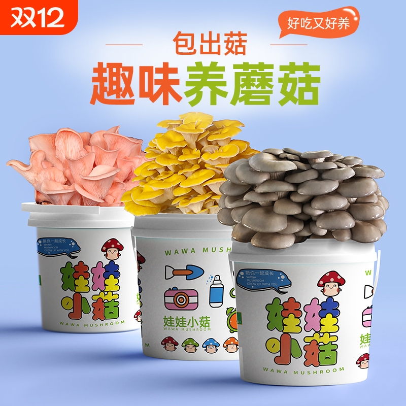 趣味种蘑菇喷水生长室内可食用