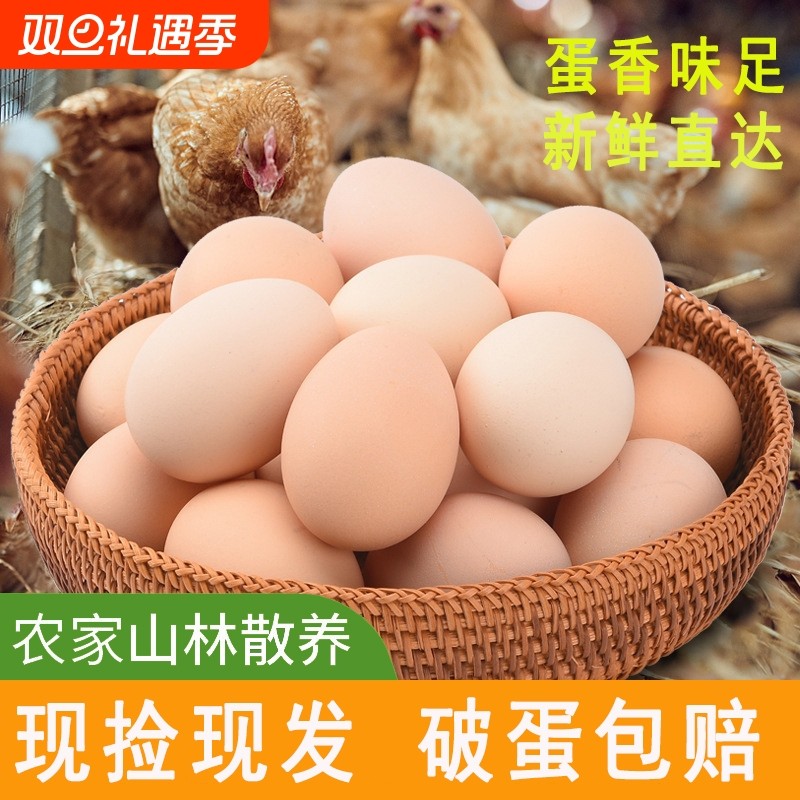 新鲜鸡蛋农家散养土鸡蛋柴鸡蛋草鸡蛋笨鸡蛋现发营养早餐配送自提
