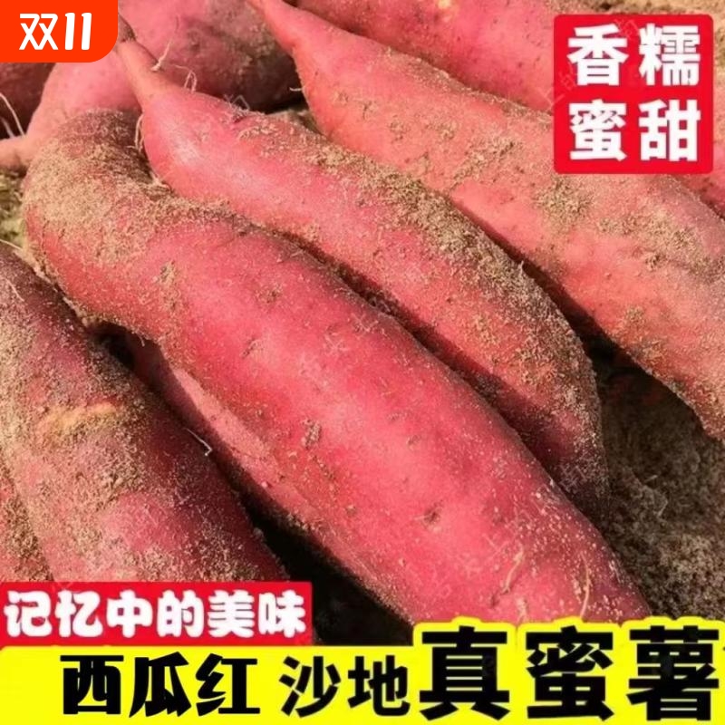 沙地西瓜红新鲜9斤！农家自种