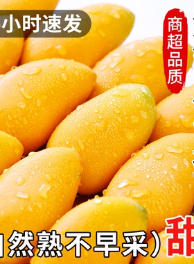 海南小台农芒果10斤新鲜小台芒当季特产水果现摘芒果大果整箱包邮