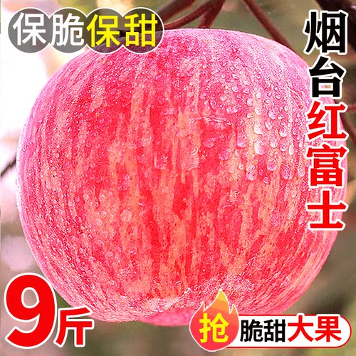 苹果水果新鲜山东烟台红富士当季整箱鲜批发10斤栖霞脆甜大果精品