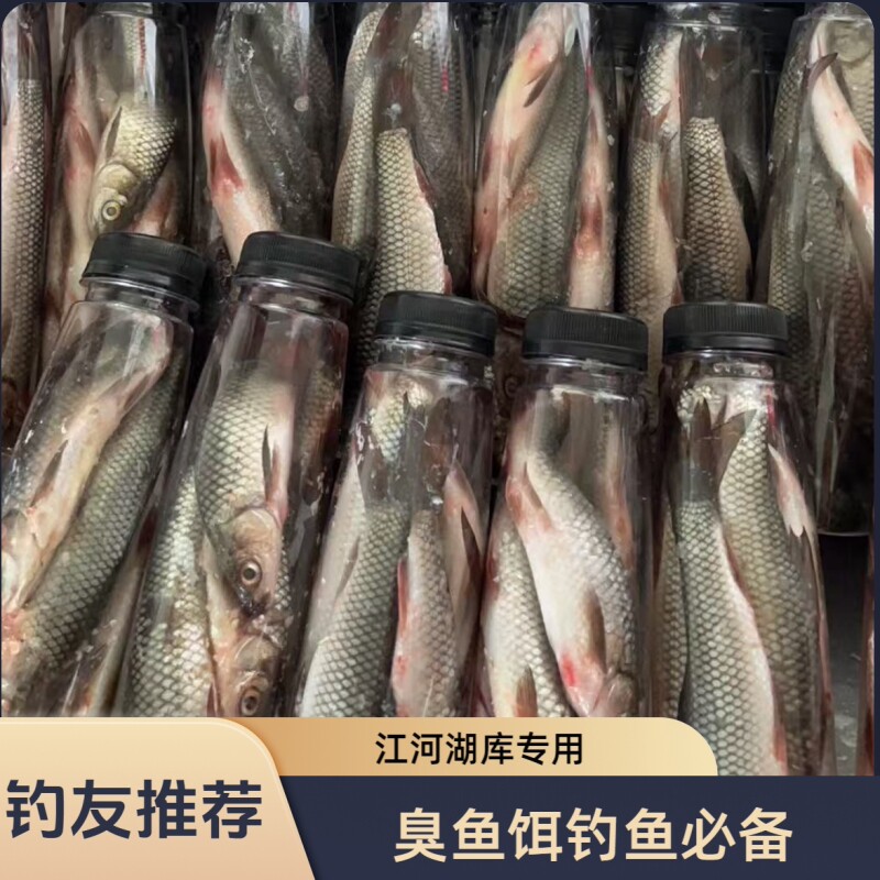 古亦佳臭鱼饵发酵鲶鱼饵5-9条装图片