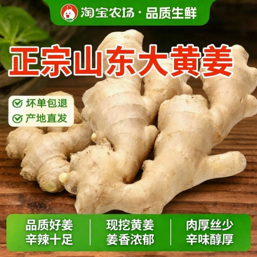 正宗山东生姜5斤老姜大姜新鲜农家黄姜干姜姜块当季泡脚农场食用