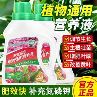 营养液植物通用型生根粉花肥料发财树富贵竹绿萝水培盆栽花卉绿植