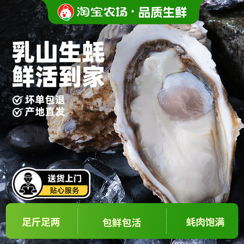 鲜活乳山生蚝5斤牡蛎肉海蛎子特大海鲜批发商用烧烤蚝王新鲜水产