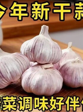 山东金乡新蒜紫白皮大蒜大蒜头新鲜食用干蒜子种可腌糖蒜新干蒜