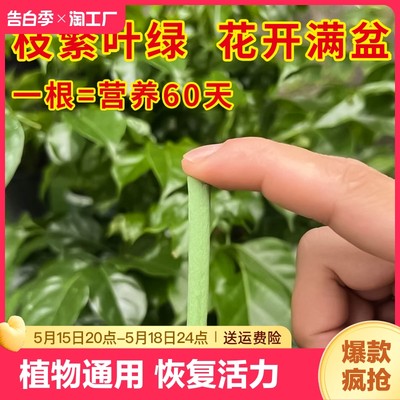 植物缓释营养棒花肥家用盆栽养花通用型月季多肉绿植盆栽缓释肥片