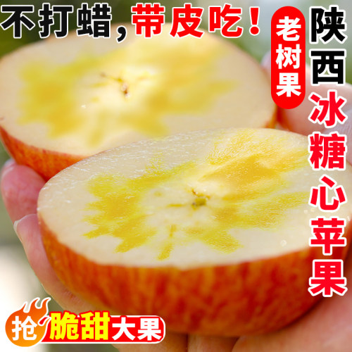 正宗陕西冰糖心苹果脆甜多汁