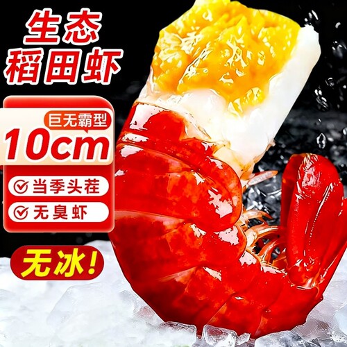 龙虾尾冷冻鲜活小龙虾无冰衣龙虾尾批发生鲜整箱特级大号虾球鲜冻