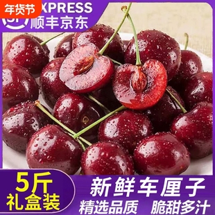 【3J5斤礼盒装】智利进口车厘子顺丰京东包邮