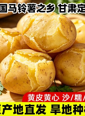 苹果优选甘肃定西沙面土豆新鲜现挖黄皮黄心蔬菜农家自种粉糯洋芋