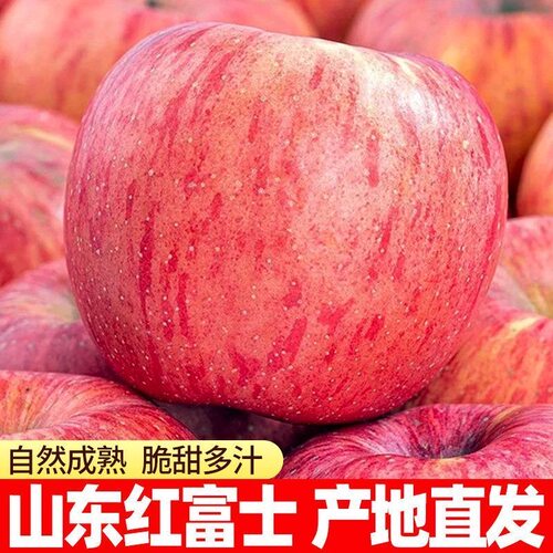 山东烟台红富士苹果新鲜水果当季栖霞萍果丑平果脆甜整箱包邮