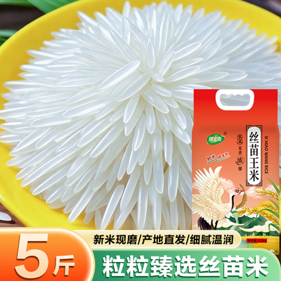 2025年新米丝苗米长粒大米工厂直发品质丝苗米真空包装5斤大米