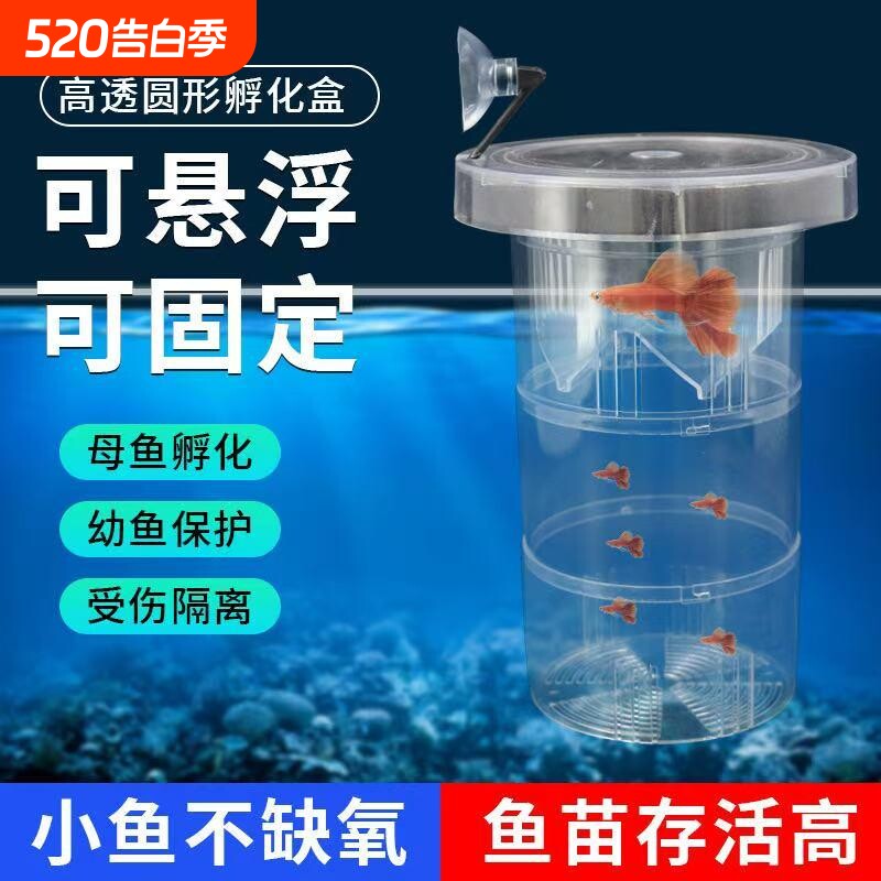 鱼缸隔离盒孔雀鱼繁殖盒凤尾斑马小鱼缸生鱼产卵孵化悬浮幼鱼漂浮