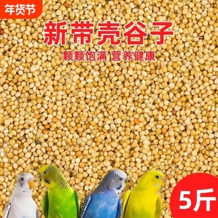 黄谷子带壳小米布施粮文鸟玄凤虎皮牡丹鹦鹉鸟粮鸟食饲料5斤混合