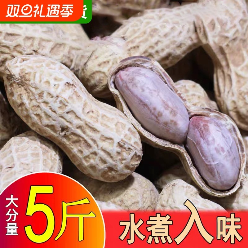 农科院新货龙岩水煮花生白晒干咸干原味蒜香湿烤带壳熟零食特产