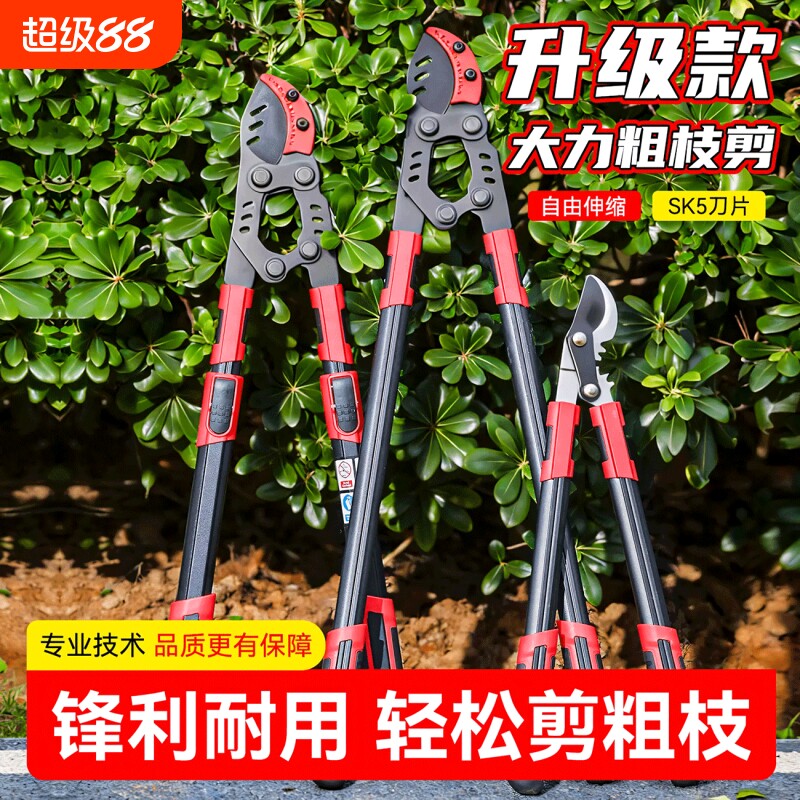剪枝剪刀修枝果树专用园艺树枝剪修剪神器省力修大枝强力粗枝剪刀图片