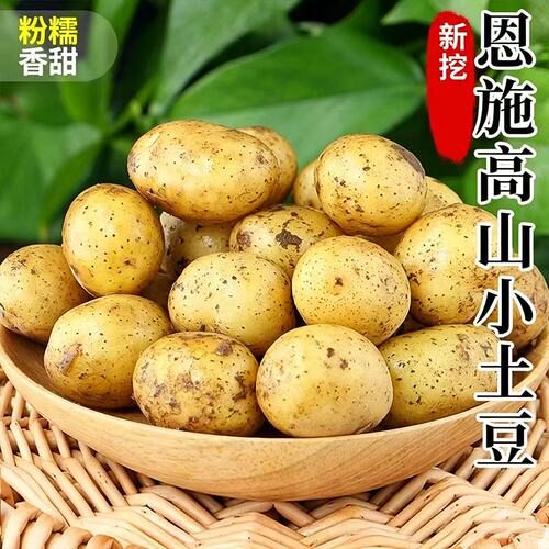 恩施小土豆农家正宗新鲜