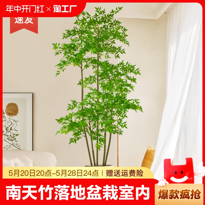 仿真植物南天竹落地盆栽室内大型仿生绿植摆件客厅轻奢装饰花假树