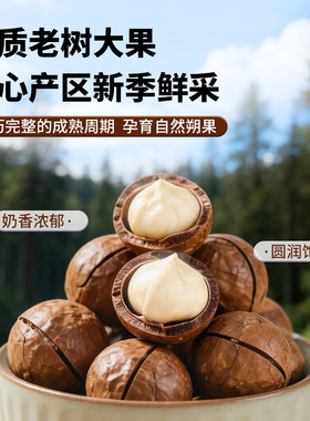 夏威夷果奶油味果250g1袋起孕妇零食干果仁零食年货多规格