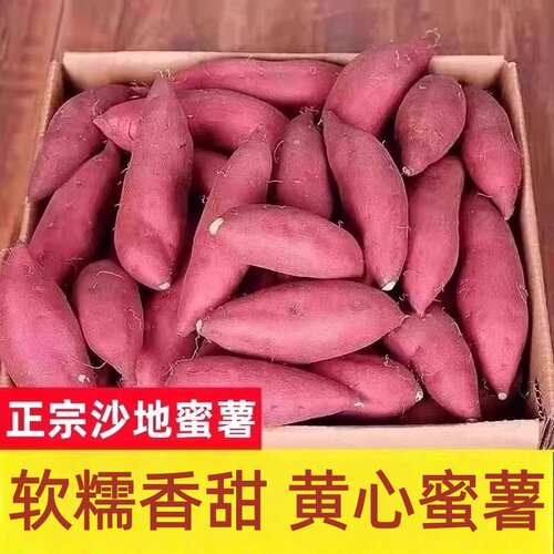 沙地蜜薯红薯新鲜番薯现挖黄心香粉糯糖心农家自种26年板栗香甜