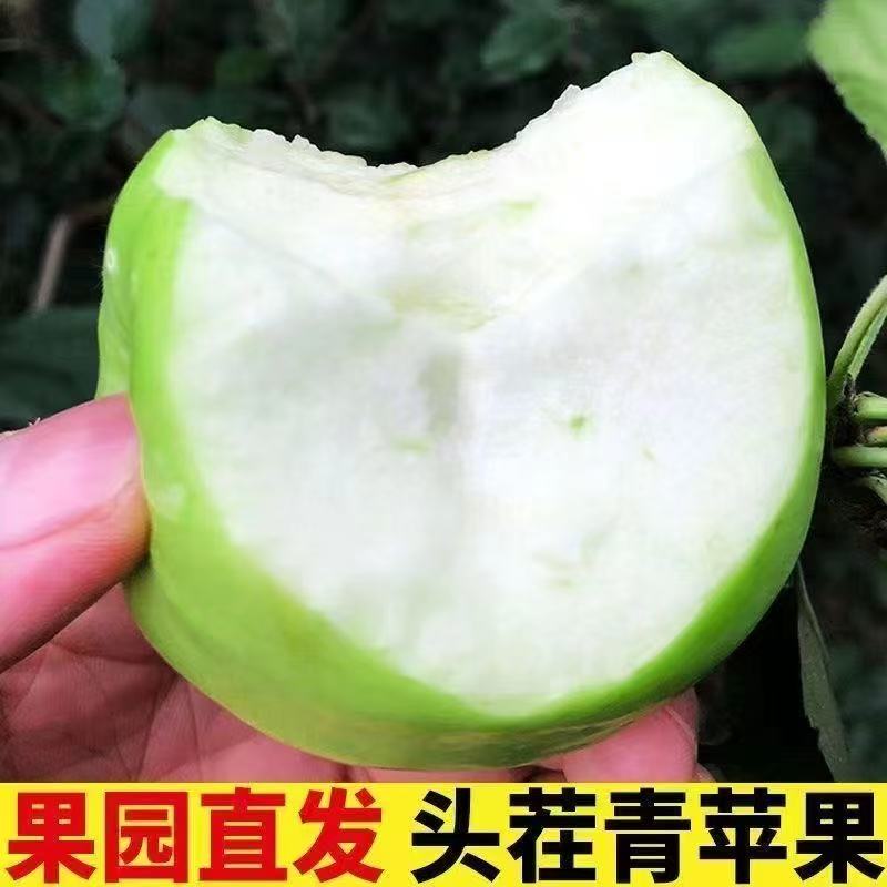 青苹果新鲜水果应季现摘小苹果酸甜绿苹果整箱鲜果保存采摘果子