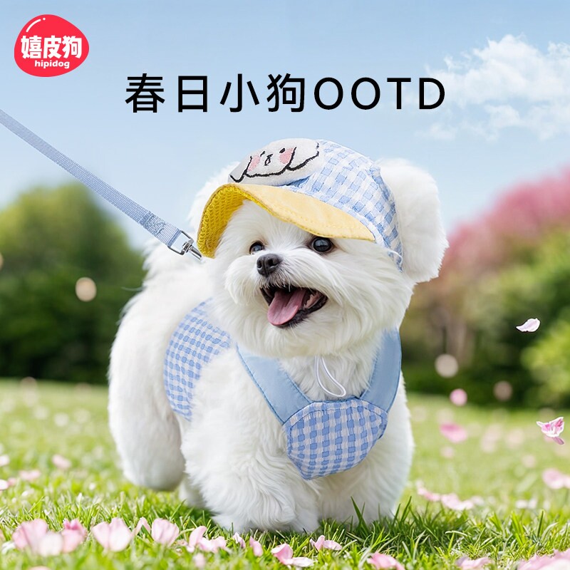 小狗狗牵引绳背心式遛狗绳链子小型犬幼犬泰迪比熊胸抱婴袋宠物用