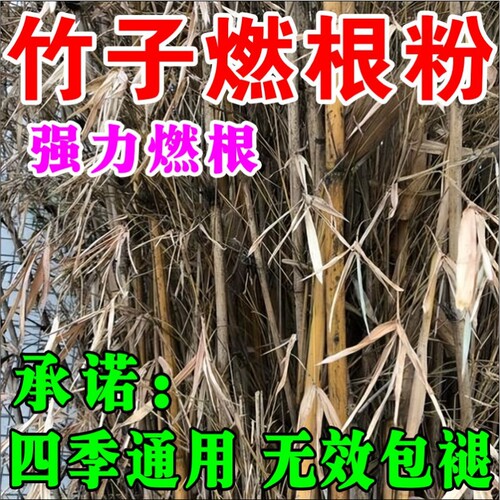 枯i死i专用药通用竹子植物林地腐燃养护树根正品肥料F花卉补铁