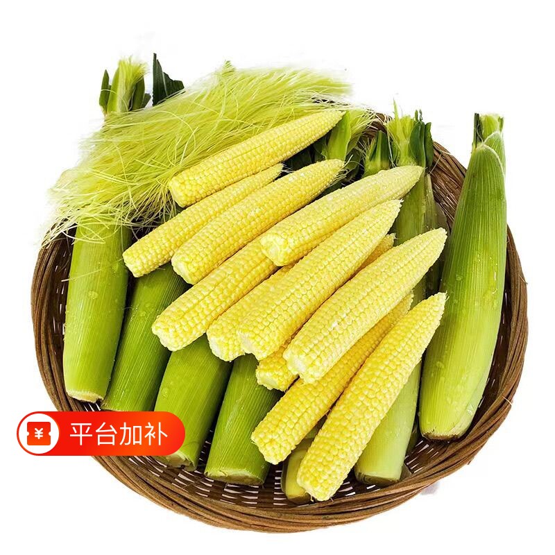 新鲜甜玉米笋迷你拇指玉米芯手指鲜蔬菜嫩玉米棒水果玉米3斤现摘