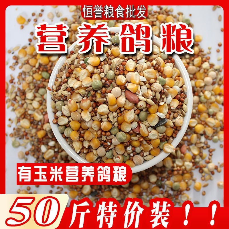 玉米饲料批发有鸽粮赛飞鸟食信鸽观赏鸽鸽子食砂小额代发批发