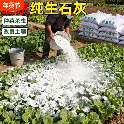 生石灰粉杀虫种菜消毒驱虫刷果树木改良土壤干燥剂稻壳杀菌纯草