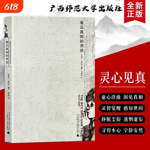 全新正版 看见真相的男孩(英)斯科特著 记录感知灵魂 成长内心困惑