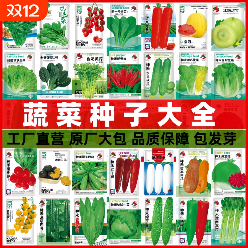 蔬菜种子四季播辣椒西瓜籽孑香菜春季蔬菜大全菠菜白菜四季豆阳台