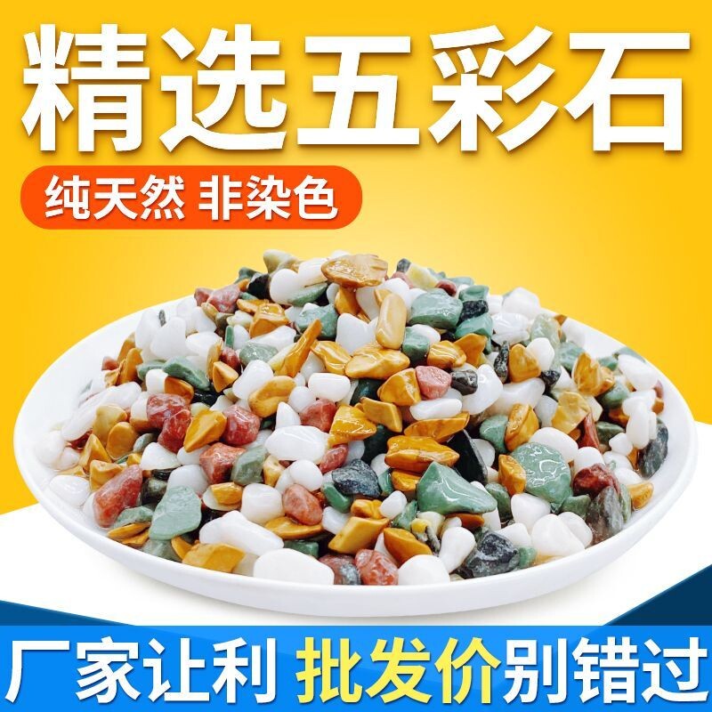 多肉花盆铺面铺路园艺装饰天然五彩花石水族鱼缸造景石头白石底砂