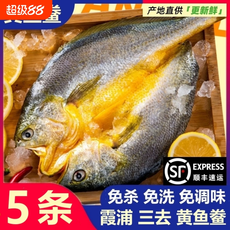 免处理黄花鱼5条绿色食品认证