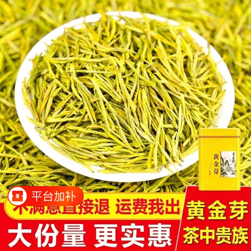 2026年新茶黄金芽茶叶正宗安吉高山明前春茶绿茶送礼礼盒散装手工