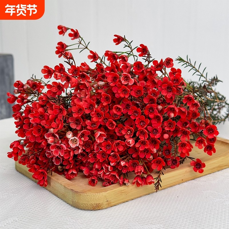 鲜花澳洲腊梅盆栽花卉云南基地直发鲜切花花束花瓶摆件客厅插花,鲜花速递/花卉仿真/绿植园艺,花材,淘宝优惠券,粉丝福利购,淘宝优惠卷