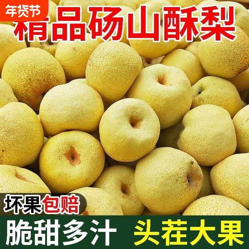 砀山酥梨贡梨品质百年老树果实果大核小脆甜多汁现摘现发产地直销,水产肉类/新鲜蔬果/熟食,梨,淘宝优惠券,粉丝福利购,淘宝优惠卷