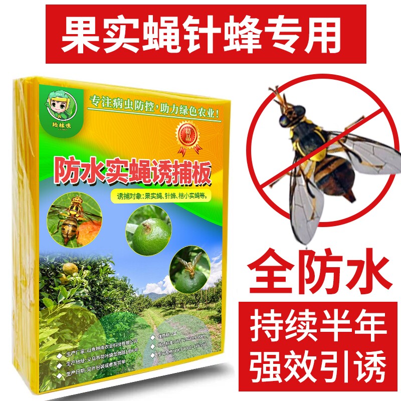 瓜果实蝇粘胶板杀果苍蝇针蜂贴蜜锋诱捕器果园菜园大棚黄色粘虫板