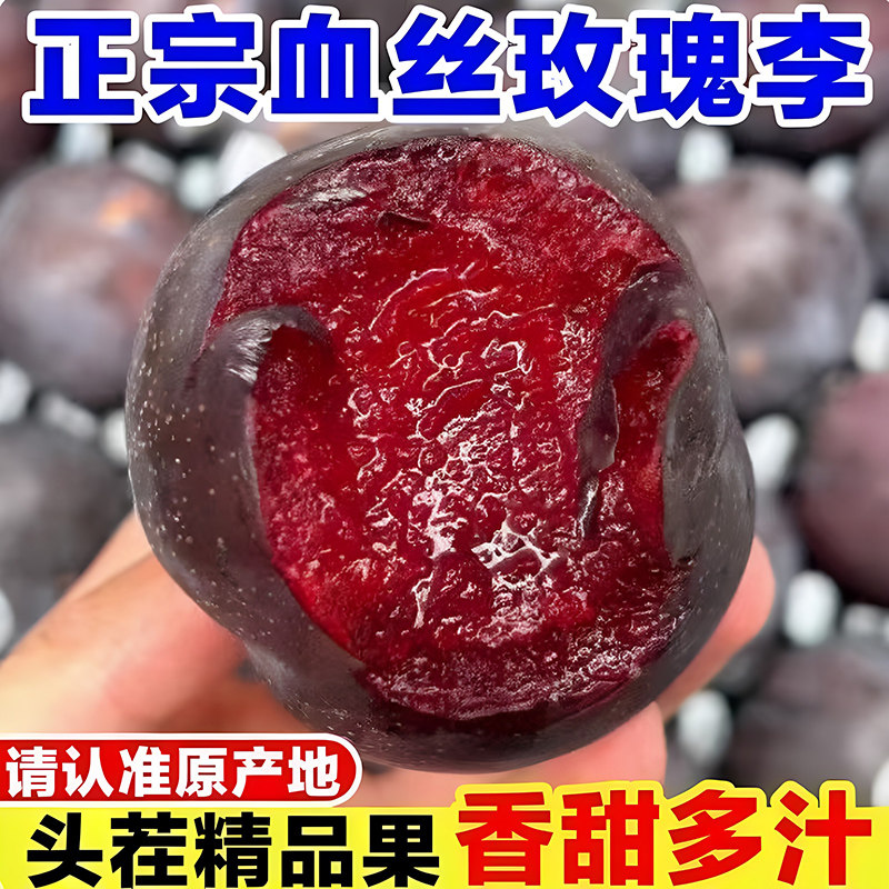 正宗玫瑰李子新鲜水果黑布林大李子红心水果小李子黑布李孕妇水果