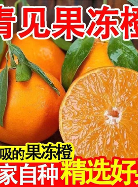 正宗四川青见晚熟果冻橙桔子新鲜水果应当季柑橘大果包邮橘子