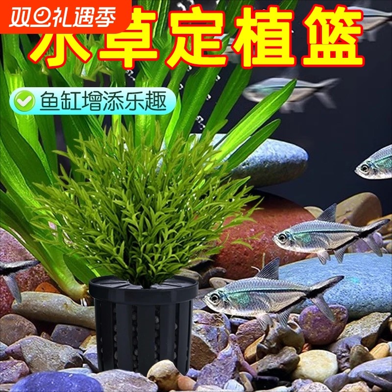 水草固定神器鱼缸水培植物篮定植篮壁挂式种植杯鱼缸造景摆件