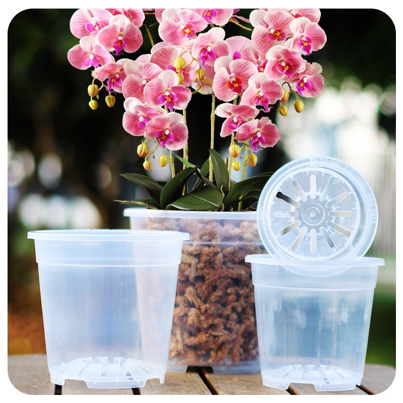 大号蝴蝶兰花器高透明硬质塑料蕙兰养根观根盆青山花盆加厚控根盆