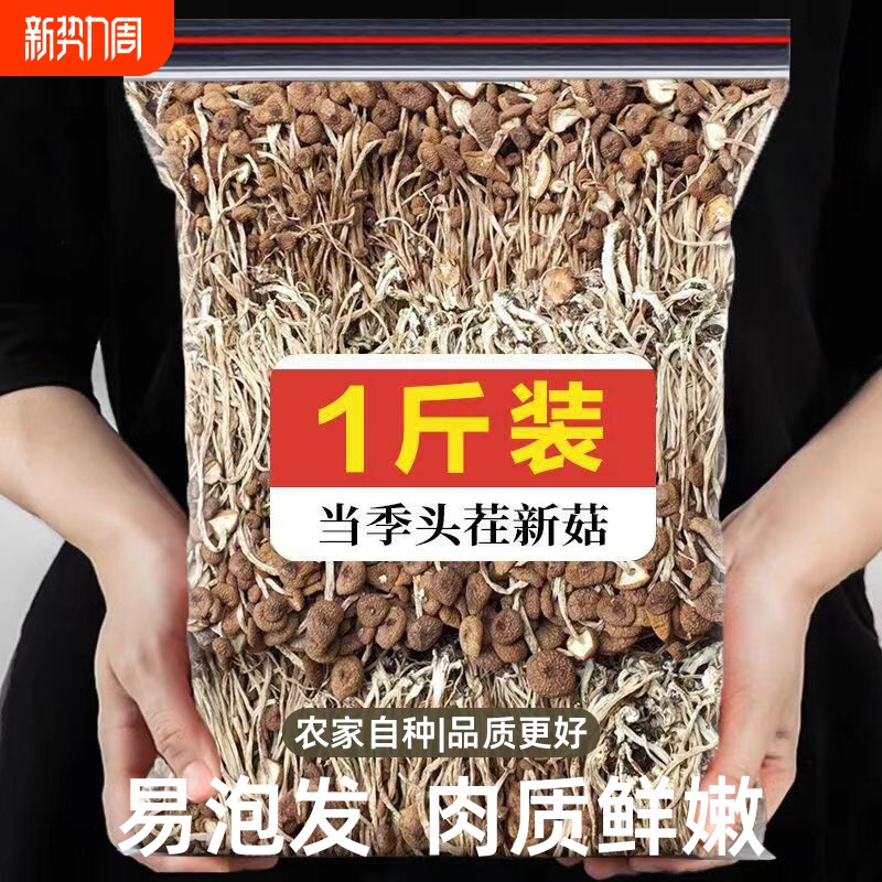 【首单直降】农家茶树菇古田新货500g干货特级茶薪菇无硫香菇蘑菇