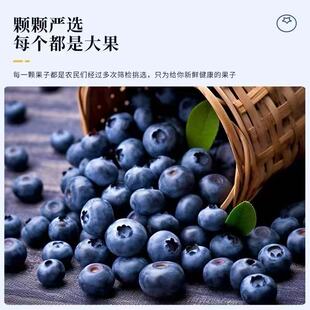 花香蓝莓口感爆汁脆甜丹东蓝莓现摘顺丰包邮