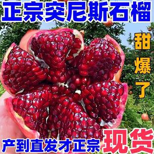 正宗会理突尼斯软籽石榴9斤新鲜水果无籽红宝石当季石榴大果整箱