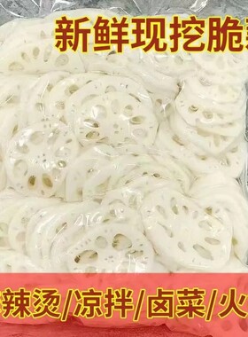 清水莲藕藕片商用10斤凉拌火锅麻辣烫食材冒菜油炸串切片餐饮食