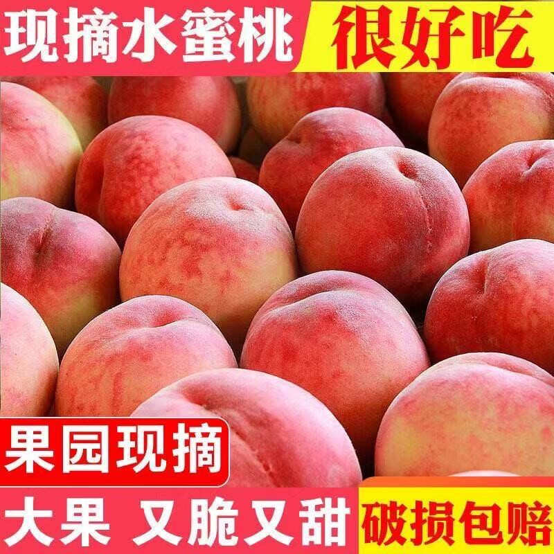 现摘现发新鲜水蜜脆桃现货水果孕妇大桃子大果整箱批发价蜜桃自提